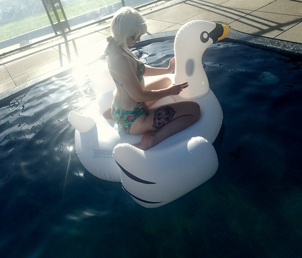 Pool Party Swan