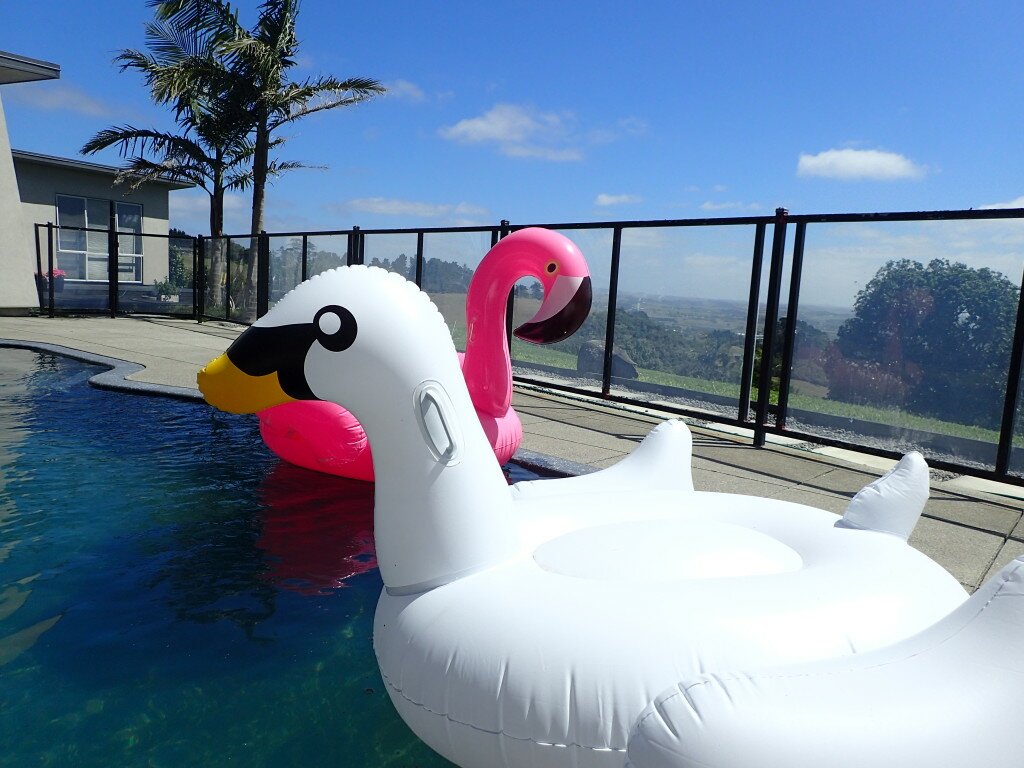 Swan-Flamingo-Pool party